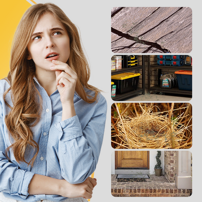 Peppermint Oil Rodent Repellent Spray