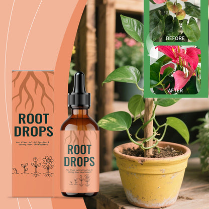Liquid Rooting Hormone